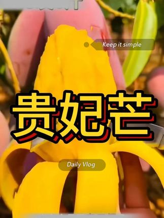 我怎么就这么会找又便宜又巨好吃的芒果啊 #贵妃芒 #新鲜采摘 #强烈推荐 #巨甜巨甜