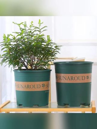 4.8元抢5个加仑花盆大号绿萝盆栽加厚小花盆阳台月季玫瑰塑料花盆#花盆 #绿植盆栽 #阳台养花 #塑料花盆 #加仑花盆