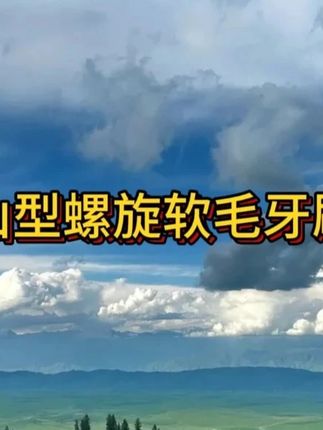 总感觉牙齿刷不干净的家人们,真的可以试试这种#山型牙刷 刷的很干净,牙齿敏感的人也能放心使用!