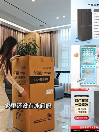 双门家用冰箱 一级能效宿舍小型电冰箱冷藏冷冻租房电冰箱