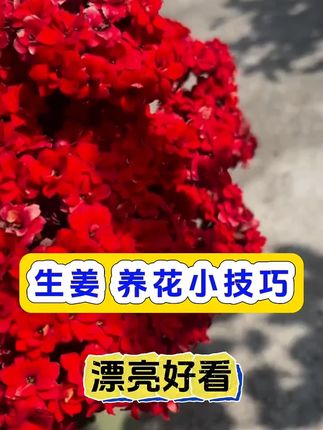 增产增收才是硬道理 #增产增收才是硬道理