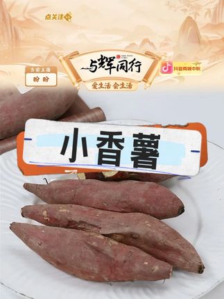小香薯沙地香甜迷你板栗红薯金手指 #小香薯 #香甜软糯 #板栗味