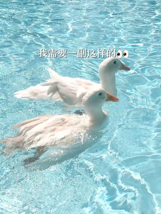 ~蓝瞳真的好清透 #凯达美瞳 #蓝瞳 #甜妹 #美瞳 #原相机