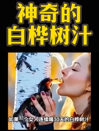神奇的白桦树汁 #健康养生 #美食分享 #好物推荐🔥 #白桦树汁 #中秋好礼