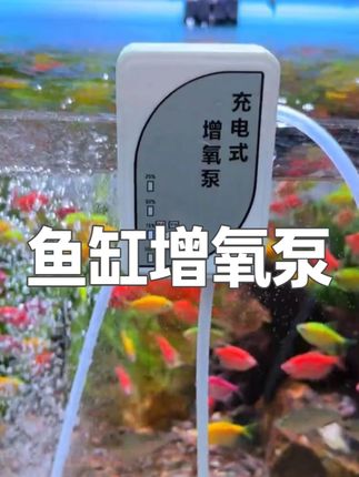 便携式大气量增氧泵,充一次电间歇续航可达70个小时,不管是钓鱼用还是养鱼用都很合适 #钓鱼 #增氧泵 #充电增氧泵 #便携式增氧泵