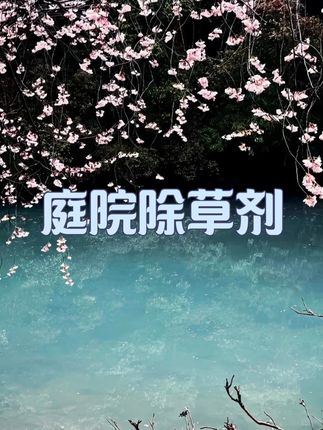 弟弟结婚穿着与辉同行买的新衣服,好看吗#与辉同行#穿搭#显瘦穿搭#小个子穿搭#夏季穿搭