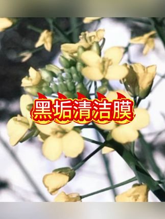 厨房锅底黑垢清洁膜除黑剂洗锅底贴膜去污面膜清洁剂神器#清洁剂 #清洁神器 #清洁好物 #厨房好物 #厨房清洁