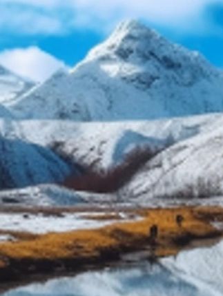 我真的超级喜欢这款金色四叶草耳饰啊! 每个角都镶嵌了一颗小小 #耳饰#  耳饰分享