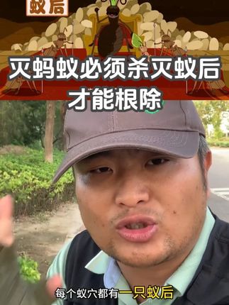 房间里出现蚂蚁,那家里一定有蚂蚁窝,灭蚂蚁用专用杀虫剂能连环灭杀杀死蚁后实现根除!#蚂蚁药 #灭蚂蚁 #除蚂蚁