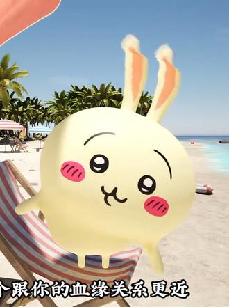 小八被乌萨奇套路 #chiikawa #乌萨奇 #小八