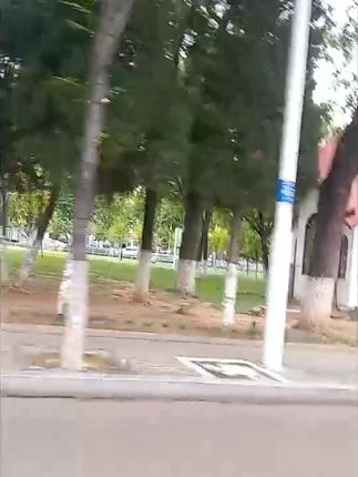毛绒小熊女款发夹 毛绒小熊大号鸭嘴夹女秋冬可爱发夹后脑勺发卡#发卡#发夹#鸭嘴夹#毛绒发夹#大号鸭嘴夹