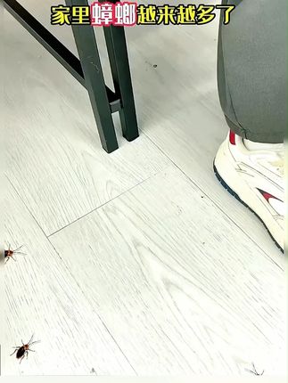 自从家里用了#蟑螂魔盒 家里就没有小强啦,还是不用火不用电的#好物分享 #母婴好物