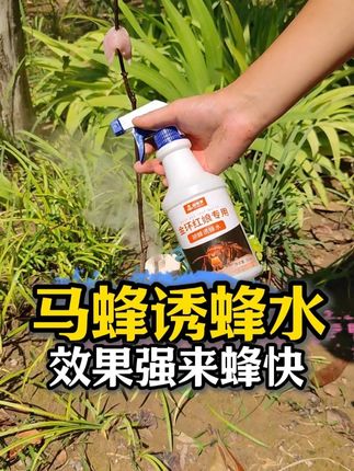 在户外用这款马蜂服诱蜂水,我怕你来蜂太多没办法上蜂标!#马蜂诱蜂水 #金环诱蜂水 #黑尾诱蜂水 #户外诱蜂 #诱蜂找蜂