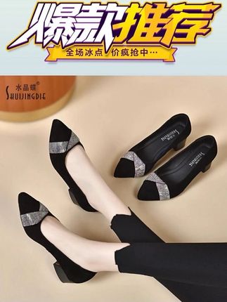 水晶蝶2025新款女欧若风气质软底黑色细跟高跟尖头浅口粗跟春秋鞋