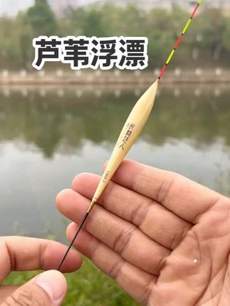 #钓鱼 #浮漂 #高灵敏浮漂 #芦苇浮漂 #浮漂鱼漂