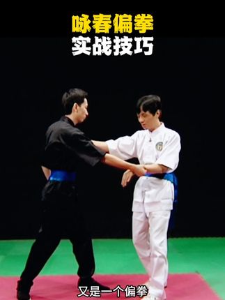 咏春十二散式偏拳用法【点左下角链接零基础学咏春拳】#武术#传武#功夫