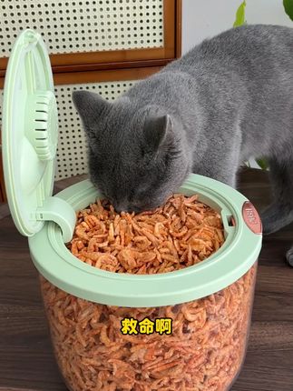 如果你家猫毛发不好还不爱吃鱼油,可以给猫咪试试这个磷虾,不但美毛亮毛,还能长肉发腮#冻干南极磷虾 #猫咪冻干 #萌宠好物 #猫咪零食 #猫咪掉毛