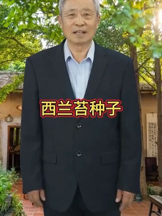 #西兰苔
