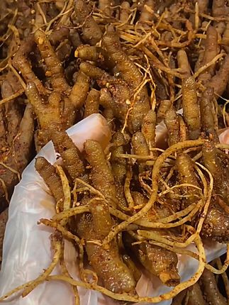 云南普洱西盟佤族美食佤味有骨大杂烩佤味鸡脚牛皮苤菜根云南普洱西盟佤族美食佤味有骨大杂烩佤味鸡脚牛皮苤菜根