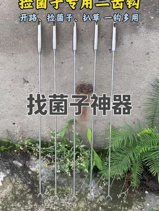 【加长不弯腰】找菌子神器捡蘑菇二齿小耙子拾野生鸡枞挖云南蘑菇 捡菌子必备二齿耙 钩菌子、开路、扒叶子一钩多用#捡菌子#捡菌神器#捡菌子神器耙子