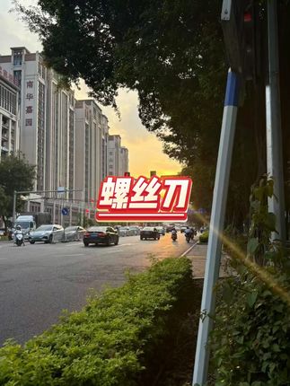 强磁螺丝刀套装  #工具推荐  #DIY必备  #维修神器