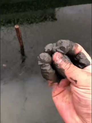 底泥的黑化酸化会产生大量硫化氢