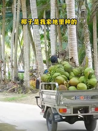 大漠叔叔老海南人推荐的椰子水,正宗海南椰子水#椰子水#大漠叔叔#好喝不贵#椰子#昌茂椰子水