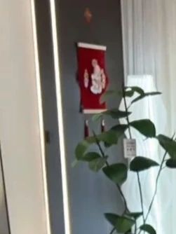#超便宜超划算 #平底锅 #锅 #厨房好物 #不粘锅