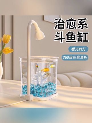 创意夜灯斗鱼鱼缸冰晶石桌面亚克力创意生态鱼缸客厅摆件高级造景#创意鱼缸 #桌面摆件 #斗鱼鱼缸 #夜灯 #家居装饰