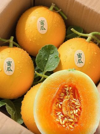 你绝对没吃过‼️今年尤其火的民勤黄河蜜瓜,真的很甜很甜,又脆又甜,它的甜不齁甜,不仅好吃还能帮助民勤人民“以瓜治沙”这天气吃一口下去什么都比不了~太好吃了!#水果神仙吃法#应季水果 #爆汁#农产品#黄河蜜瓜