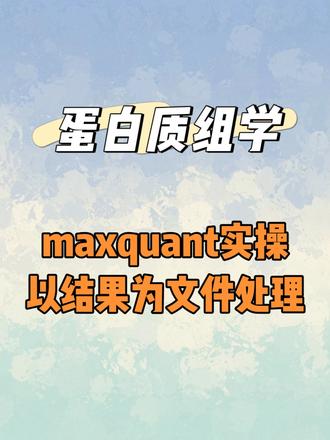maxquant软件实操(下):对于结果为文件处理 #蛋白质组学 #软件实操 #生信分析 #生物信息学 #真实生活分享计划