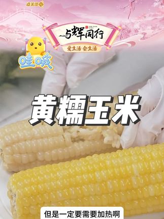 2025年头茬糯玉米软糯香甜整箱#糯玉米 #糯玉米推荐 #黄糯玉米 #糯玉米软糯香甜 #玉米