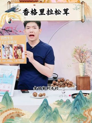 云南不开伞正宗鲜松茸 #做刺身 #煲汤 #炒 #送人送礼 #鲜松茸 #