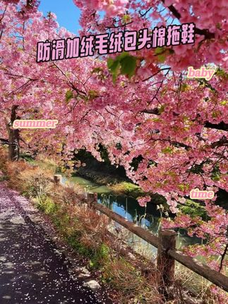 4.5cm棉拖鞋厚底情侣冬季可外穿防滑加绒毛绒包头棉拖鞋时尚保暖
