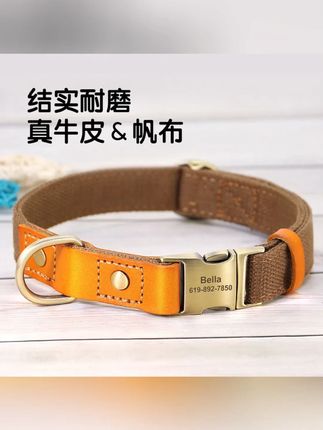 遛狗项圈刻字防丢狗脖圈中小型犬泰迪定制遛狗拉布拉多狗脖套金毛 #遛狗项圈刻字 #防丢狗脖圈 #中小型犬脖圈 #泰迪狗脖套 #拉布拉多脖圈