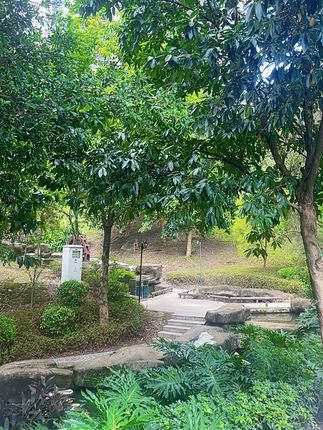 原洋窝料大青草黑坑皮筋挂钩草青鲤颗粒饵料巨物垂钓打底窝
