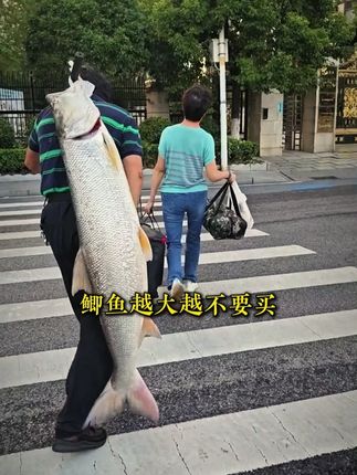 人一旦看过《赚钱有招》,财富就像开了上帝视角!#认知#好书分享#思维格局#读书#商业思维