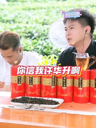 许华升推荐的这款英红九号红茶真的太香了! #许华升 #英红九号 #茶叶 #红茶 #召唤茶友