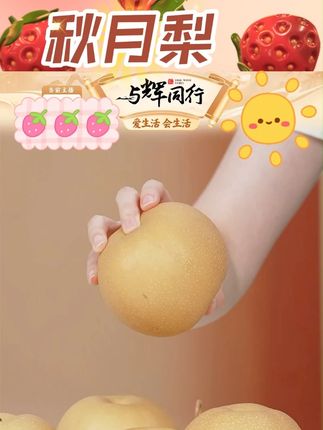 山东特产正宗秋月梨冰糖梨子真秋月礼盒新鲜水果脆甜应季产地直发 #秋月梨 #冰糖梨 #新鲜水果 #脆甜多汁 #水果