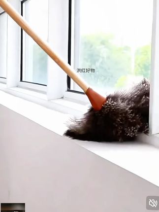 静电除尘掸子鸵鸟毛掸子鸵鸟毛逗猫棒家庭打扫家用除尘吸尘除尘掸 #家庭打扫 #静电除尘掸子 #除尘柔软掸子 #鸵鸟毛掸子 #家庭打扫神器