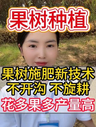 果树施肥新技术,不开沟不旋耕 #果树管理 #果树种植 #果树 #柑橘种植 #果树膨果