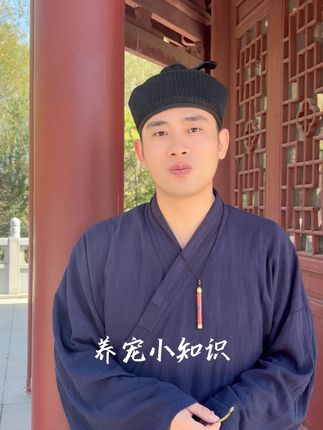 #道家文化 #道系青年 宠物的性格和下一代很相似!