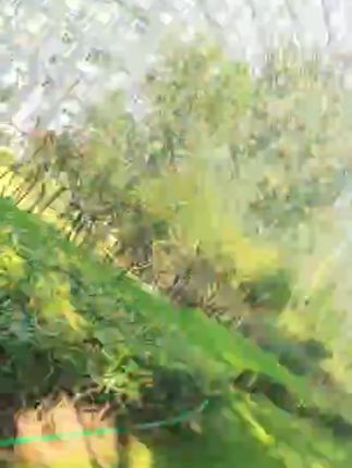 新款樱桃小熊懒人牙刷巨无霸高效率清洁软毛高颜值防滑手柄家庭装#牙刷 #软毛牙刷 #清洁牙刷 #牙刷推荐 #牙刷分享