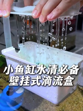 家里鱼缸是40以下小鱼缸的鱼友,建议试试这个十几块的滴流盒! #新手养鱼 #鱼缸过滤 #滴流盒 #养鱼日记 #水族用品