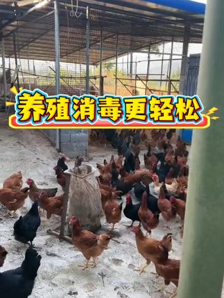 养殖不消毒,一年白辛苦!#养鸡人#养殖人加油#养鸡技术#养鸡助手#牧商网过硫