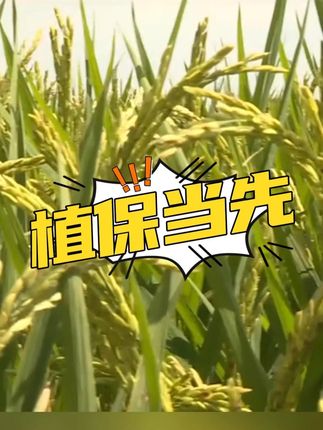 赶紧抢福利了,拼手速! #老五仁月饼 #老五仁 #月饼 #薅羊毛 #好吃不贵经济实惠