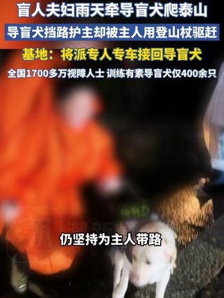 盲人夫妻雨天带导盲犬爬泰山引发争议,基地:将派专人专车接回导盲犬