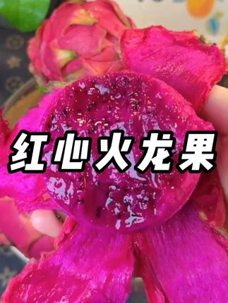 红心火龙果 #火龙果 #红心火龙果 #应季水果 #水果 #超便宜超划算