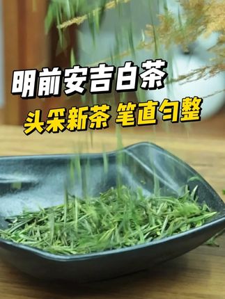 新茶上市,#安吉白茶 #茶香四溢 #爱喝茶的关注我 #茶叶 #绿茶