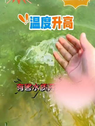 #水产养殖 #鱼虾蟹养殖